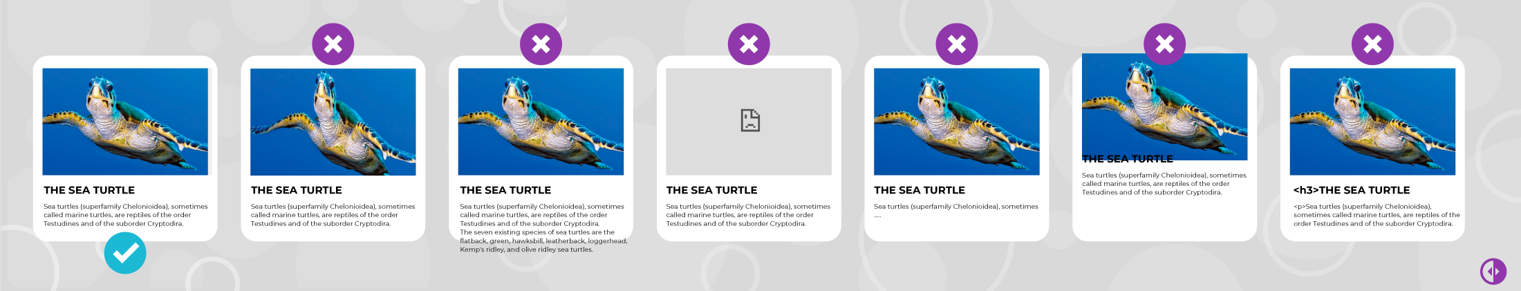 CSS Bugs turtles